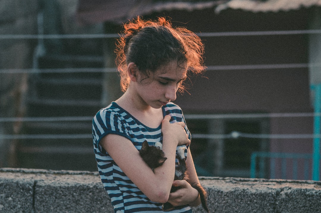 Zdjęcie różnych niezawodnych gadżetów dla podróżników